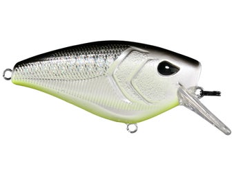 13 Fishing Warthog Crankbait Neon Disco Shad 2.3"