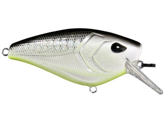 13 Fishing Warthog Crankbait Neon Disco Shad 2.75"