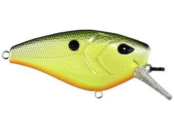 13 Fishing Spin Walker Prop Pencil Bait with Chuck Pippin