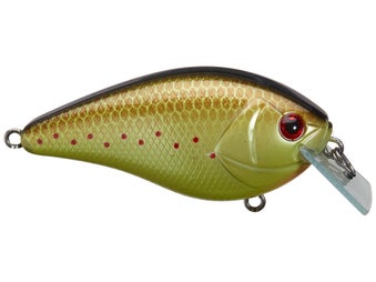 Azuma Matt Reed Square Boss Squarebill Crankbaits