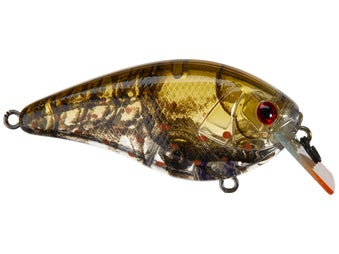 Azuma Matt Reed Square Boss Squarebill Crankbaits