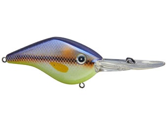 Azuma Timmy Horton Z Boss 20 Crankbaits