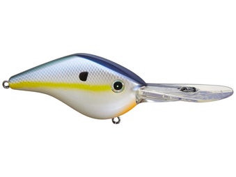 Attraction and Trigger: Blade Baits are First-rate Catchers