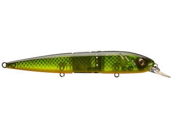 Baitsanity Explorer Jerkbait BCS 120