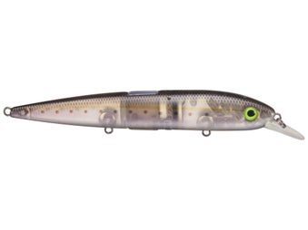 Baitsanity Explorer Jerkbait BCS 120