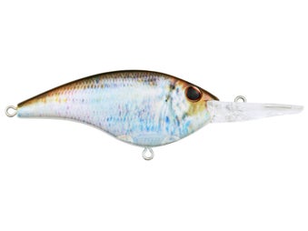 2 Must Have Lures For Summertime Bassin' By Glenn Walker, Page 5