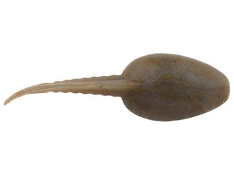 Berkley Gulp Alive Tadpole 1.25"