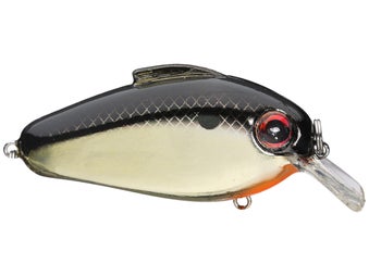 Bill Lewis Echo 1.75 Squarebill Crankbaits