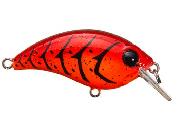 Bill Lewis ATV Squarebill 1.0 Crankbait