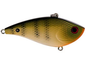 What I Wish Someone Would Have TOLD ME About A Lipless Crankbait 