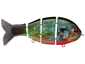 Bucca Brand Baby Bull Gill Swimbait 3.75" 