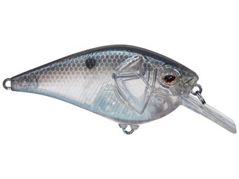 Castaic Squarebill Crankbait Green Gizzard Shad 1.5