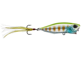 Duo Realis New Colors with Chris Jackson - Tackle Warehouse