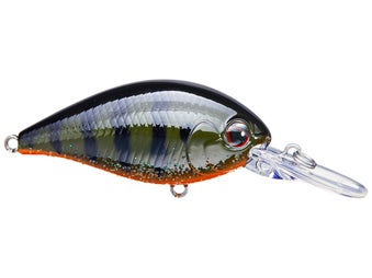 Evergreen CR 08 Crankbaits 