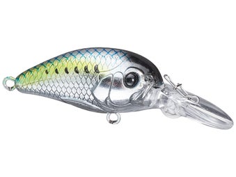 Freedom Tackle Rad 35 Crankbaits