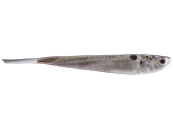 Gambler FF Series Min-O Minnow  Live Shad 4" 6pk