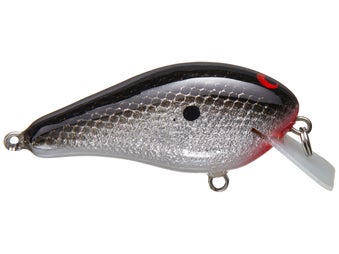 Greenfish G2 Squarebill Foiled Black