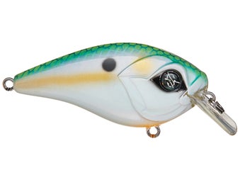 Googan Squad Banger Squarebill Mondo Shad 1/4oz