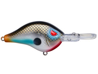 Head Hunter Shad Dad Crank Gold Shad 1/2