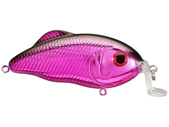 Strike King Salt Water Hybrid Hunter Jr. Shallow 