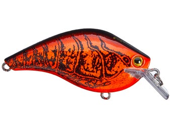 Ichikawa RC King Kong Shad Crankbait Sunrise 5