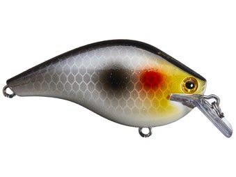 Ichikawa RC King Kong Shad Crankbait Headlight 5