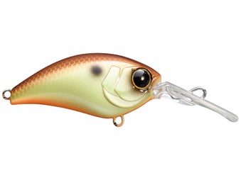 Jackall Mushbob 50 MR Muddy Shad