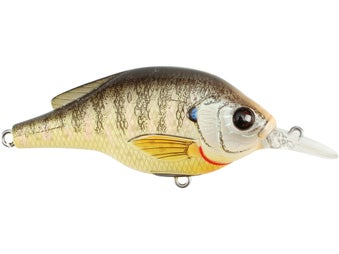Fishing Tackle Lures Livetarget Sunfish Crankbait : : Sports &  Outdoors