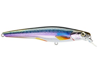 LIVETARGET Rainbow Smelt Jerkbait 115S