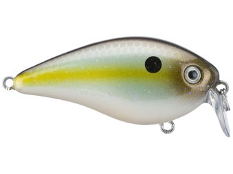 Strike King KVD HC Shallow Squarebill 1.5 Crankbait