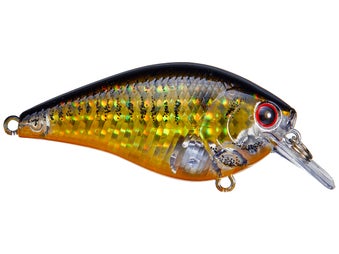 Lucky Craft LC 1.5 Silent Squarebill Crankbait