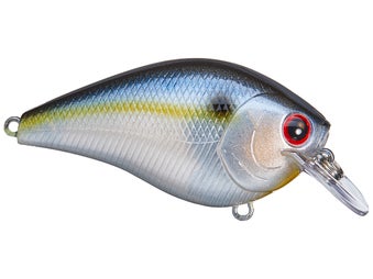 Lucky Craft Fat BDS-2 Ghost Threadfin Shad