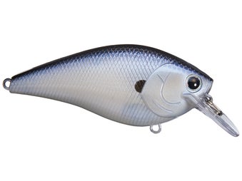 Lucky Craft Fat BDS-4 Ghost Tennesse Shad