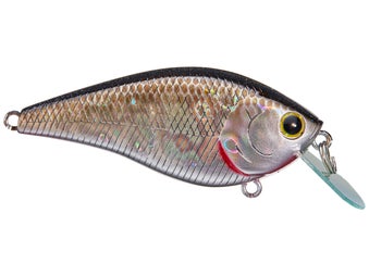 Lucky Craft KJ Flat BP Golden Shiner 1.5