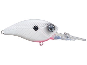 Rattling Deep Diver Fishtank Series White Varicose Shad – Funky Paint  Lures