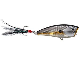  Betts Popper Tackle Pack (6-Piece) : Fishing Topwater