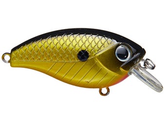 Lunkerhunt Impact Squarebill Shock Yellow 2.25"