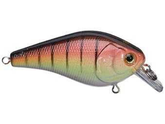 Pro's Picks For Fall Bassin' - Tackle Warehouse