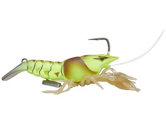 LIVETARGET Live Craw Chartreuse Pumpkin 2.5"