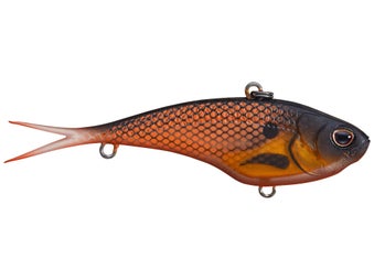 Nomad Vertrex Max Lipless Gold Black Back 2/5