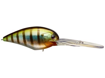 OSP Blitz Magnum EX DR Crankbait