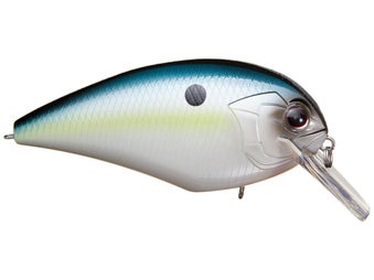 OSP Blitz Magnum SR Squarebill Crankbait