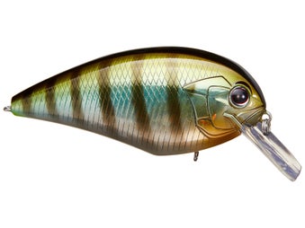 OSP Blitz Magnum SR Squarebill Crankbait