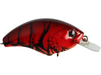 OSP Blitz Squarebill Crankbait