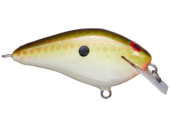 PH 1.5 Squarebill Copper Green Shad