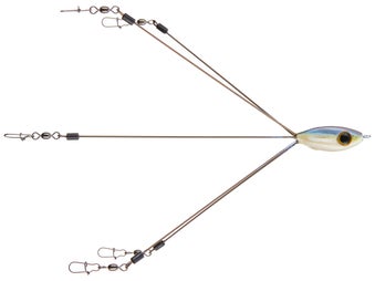 Picasso School E Rig Blueback Herring