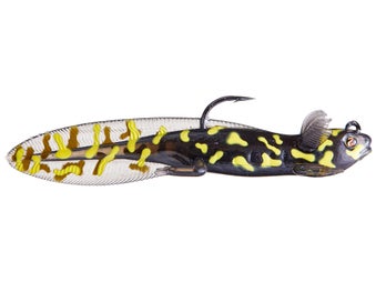.com : Lizard-Baits-Soft-Plastic-Worms-Lizard-Fishing-Lure for Bass Fishing  Salamander Lure 6 Inch kit : Sports & Outdoors
