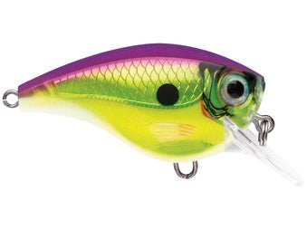 Rapala Balsa Xtreme BX Brat 6 Squarebill Crankbaits