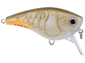 Rapala Balsa Xtreme BX Mid Brat Squarebill Crankbait