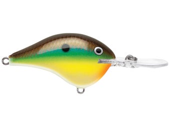 Rapala DT10 Bream